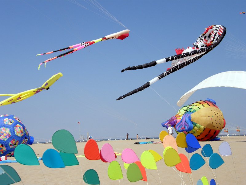 Kite Festival