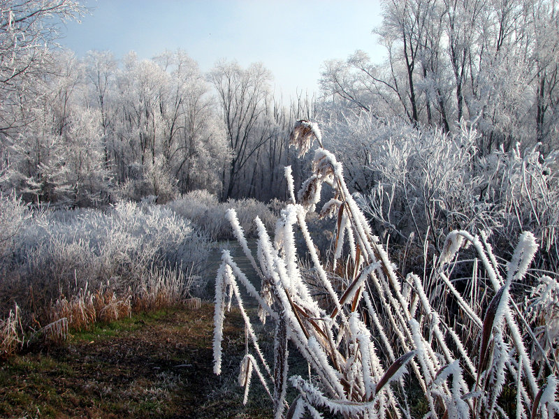 The Po Delta in winter