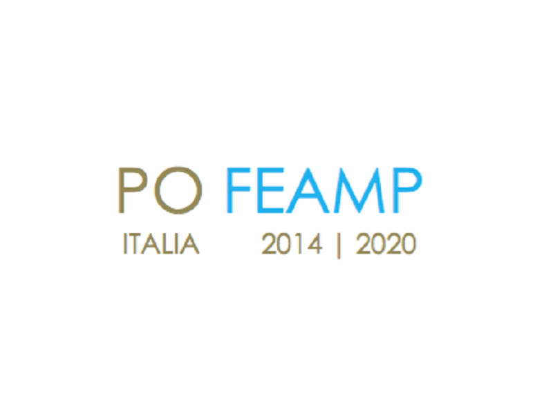  logo FEAMP